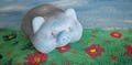 Pig Taba Squishy