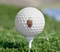 Funny Joe Biden Hit Me Golf Balls, 6pcs, Political Golf, Gag Gift, Novelty Item, Golf Balls