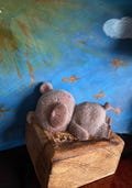 Bear Taba Squishy