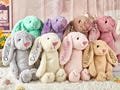 Personalized Embroidered Bunny Rabbit,Monogrammed Bunny,Newborn Baby Gift,Baby Shower Gift,Stuffed Animal,Plush Bunny Toy,Gift For Kid