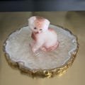 Taba Squishy Mini Cat