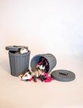 Opossum in Trash Can - Playset for Kids & Collectors - Unique Animal Lover Gift, Trash Can Toy, Possum Gift, Playset, Diorama