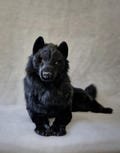 Black wolf realistic Author's interior doll OOAK