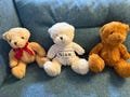 Personalised Teddy Bear with Tee