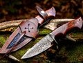 Hand Forged Bushcraft Hunting Knife W/Rosewood Handle, Fixed Blade Custom Hunting Knife with Sheath Perfect Camping Knife Ideal Gift for Him