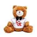 Teddy Bear, Love T-Shirt Plushie, Customizable Couple's Names, Valentine's Day Anniversary Gift, Bow Tie Stuffed Animal