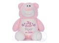 Personalized Big Sister Stuffed Animal - Sibling gift - Embroidered Stuffed Animal - Personalized Plush - Big Sister Gift - New baby