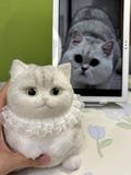 Personalized Handmade Cat Squishy Toy, Squeezable Sensory Comfort Toy, Customize Cat Toys Based on Photos,Cute Pet Gifts for Anxiety Relief