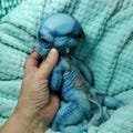 Full Silicone Doll Baby Alien Repta 13 inches (33 cm)