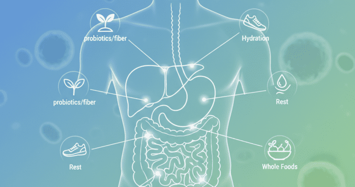 A Lifetime of Digestive Harmony: 7 Holistic Habits for Ultimate Gut Wellness [2025 Plan]