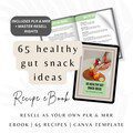 65 Healthy Gut Snacks with Resell Rights, Health Coach Lead Magnet, Nutrition Coach, Done for you, PLR ebook, Wellness Coach, gut health.