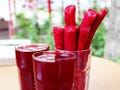 Salgam Recipe PDF: Turkish Fermented Purple Carrot Juice (Digital Download)