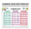 Candida Diet Food List Printable | Candida Cleanse & Meal Plan | Low Sugar, Low Carb, Yeast-Free, Gluten-Free Anti-Fungal PDF