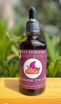 Night Blend ? Dual Extract Mushroom Tincture (Reishi, Turkey Tail, Chamomile)