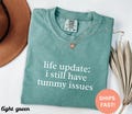 Comfort Colors? Life Update I Still Have Tummy Issues, Funny Stomach Shirt, IBS Humor, Digestive Health, Gut Problems, Funny Health Tshirt