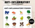 Anti-Inflammatory Food Chart, Anti-Inflammatory Diet Food Guide, Anti Inflammatory Meal Plan, Anti Inflammatory Food & Grocery List