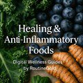 Healing Superfoods PDF | Gut Health, Longevity & Immune Boosting Digital Guide
