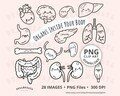 Body organs outline PNG for coloring clipart bundle of cute human health biology black and white images