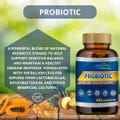 Probiotic Supplement ? 100 Capsules ? Gut & Immune Support ? 100 Billion CFU Blend ? Non-GMO, Gluten-Free