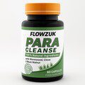 Paracleanse | Botanical Human Parasite Cleanse Supplement | Wormwood, Clove & Black Walnut | 60 Vegan Capsules | UK Brand