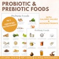 Probiotic & Prebiotic Foods List: Gut Health Guide (PDF Download)