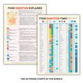 Food Digestion Charts: Energy, Bloat & Sleep Impact (PDF Downloads