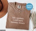 Comfort Colors? Life Update I Still Have Tummy Issues Shirt, Funny Health Shirt, Digestive Health Shirt, Medical Humor Shirt, Health Tee