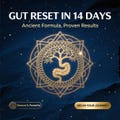 Digestis Vitalis: Gut Health Rune & Ritual Guide ? Occult Wellness Digital Download for Digestive Harmony | Sustainable Spirituality