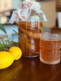 Imperfect Kombucha SCOBY with Starter Kit: Homebrewing with Strong Fermented Tea