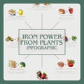 Add-on to food pyramid, Infographic "Iron Power from Plants", nutrition poster, template for nutrition counseling, school & practice
