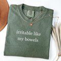 Comfort Colors? Irritable Like My Bowels Shirt, Funny IBS Tshirt, Tummy Ache Shirt, Digestive Humor Tee, Gut Health Shirt, Sarcastic Shirt