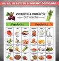 Prebiotic and Probiotic Food Chart, Gut Microbiome Food List, Gut Health food chart, Prebiotic Grocery List, Probiotic Food Chart Printable