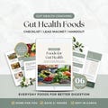 Gut Health Nutrition Checklist, Anti-Inflammatory Foods Guide Canva Template, Digestive Wellness Handout,  Holistic Health Coach Lead Magnet